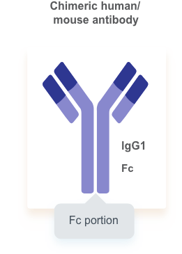 Chimeric human/mouse antibody image