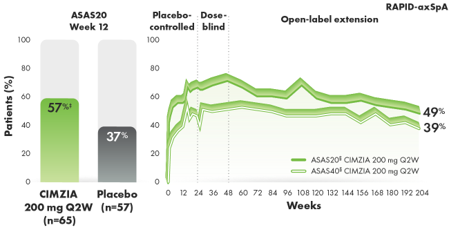 Graphic depicting ASAS20/40 response rates in an AS subpopulation through year 4.
