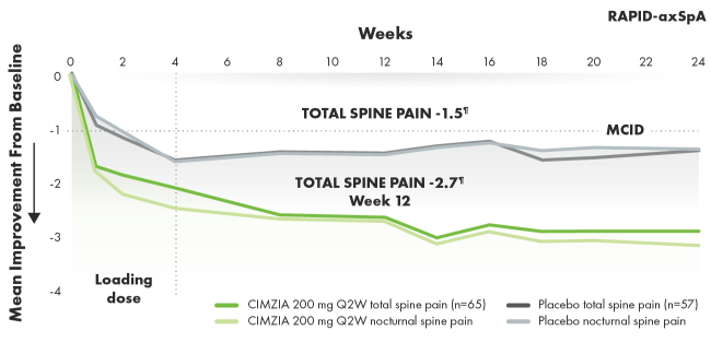 Graph depicting total and nocturnal spine pain improvement from baseline through week 24.